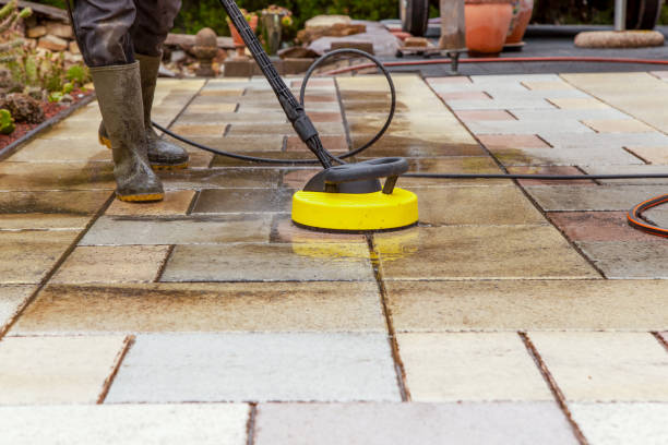 Animal Enclosure Cleaning in Jeffersonville, IN